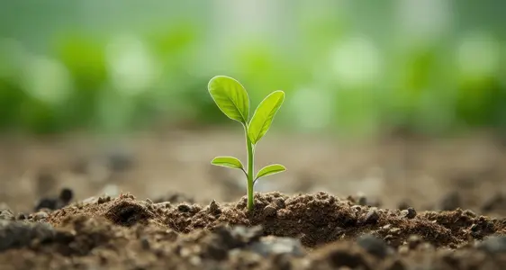 EGFL (Europäischer Garantiefonds für die Landwirtschaft)