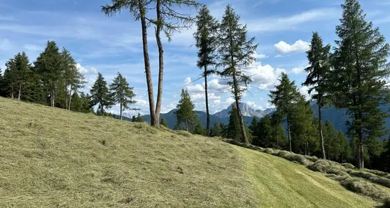 Förderperiode 2023-2027