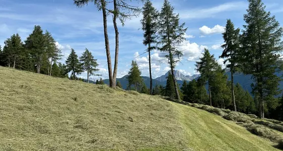 Förderperiode 2023-2027