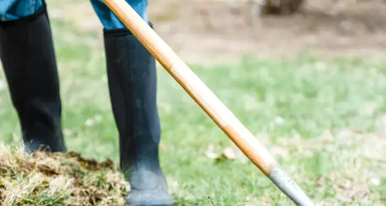 Betriebsprämie NSP 2023-2027