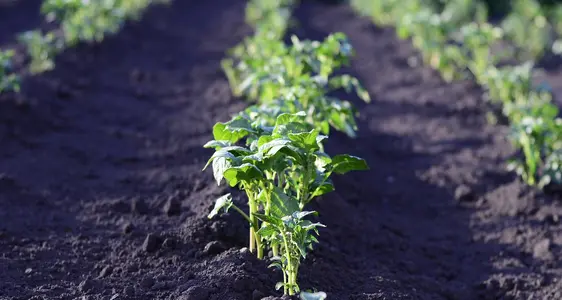 Domanda Unica 2014-2022