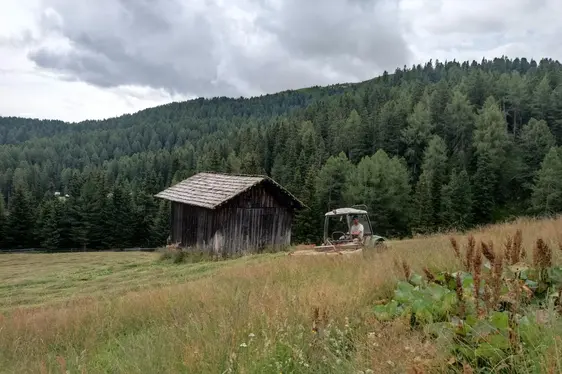 Sfalcio Alpe di Rodengo