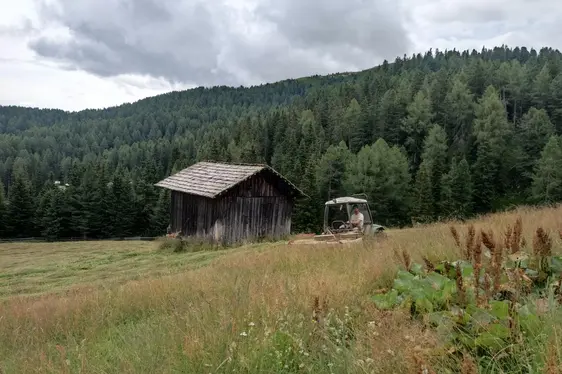 Mäharbeit Rodenecker Alm
