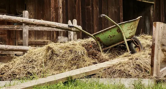 Condizionalità rafforzata