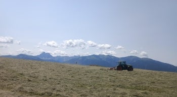 Fienagione Alpe di Rodengo