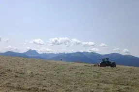 Heuarbeit Rodenecker Alm