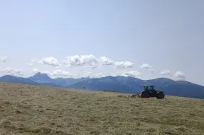 Heuarbeit Rodenecker Alm