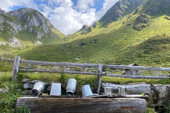 Gestione tradizionale del pascolo alpino