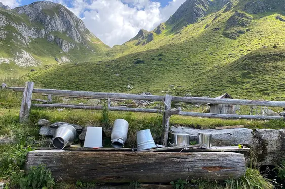 Traditionelle Almbewirtschaftung