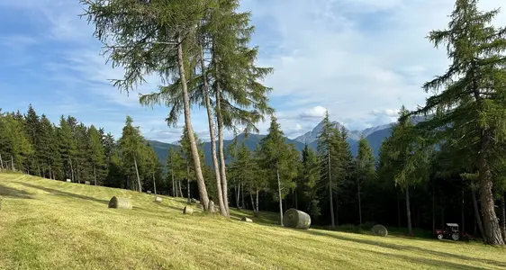 Konditionalität (EGFL und ELER)