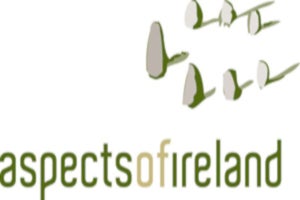 Aspects of Ireland slide 1