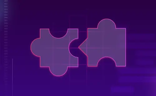 Image for Code Interoperability: The Hazards of Technological Variety