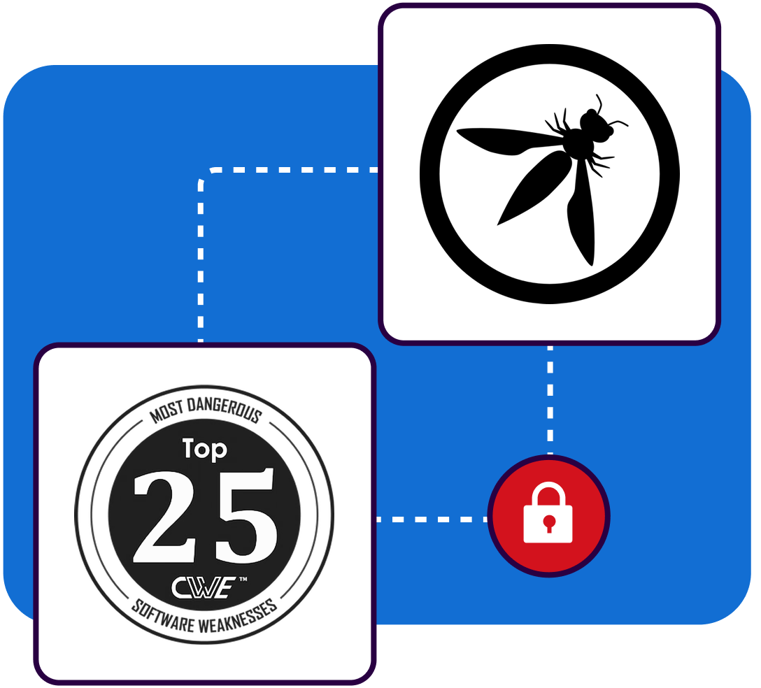 OWASP 25 certified