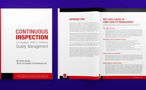 Continuous Inspection White Paper Cover and internal pages