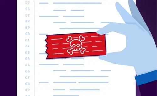 exploits in software development