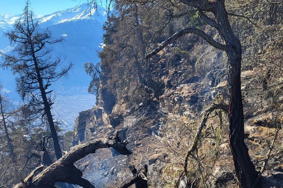 Sonnenberg, 2025 (Foto: LFV/Landesfeuerwehrverband)