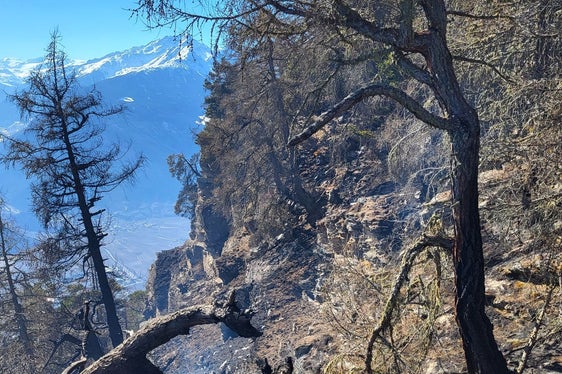 Monte Sole, Laces, 2025 (Foto: USP/Unione Provinciale dei Corpi dei Vigili del Fuoco Volontari)