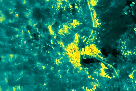 Prad am Stilfserjoch, 2025 (Foto: LFV/Landesfeuerwehrverband)