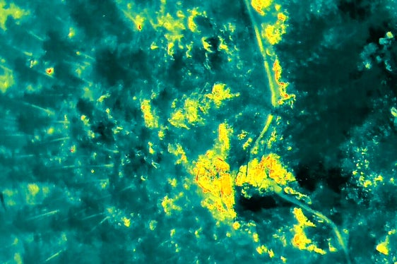 Prato allo Stelvio, 2025 (Foto: USP/Unione Provinciale dei Corpi dei Vigili del Fuoco Volontari)