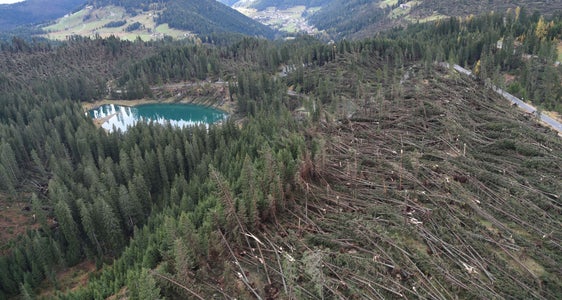 Catasto dei danni boschivi