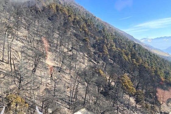 Sonnenberg, 2025 (Foto: LFV/Landesfeuerwehrverband)