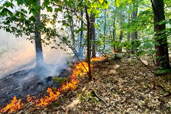 Montiggl, Gemeinde Eppan, 2022 (Foto: LFV/Landesfeuerwehrverband)