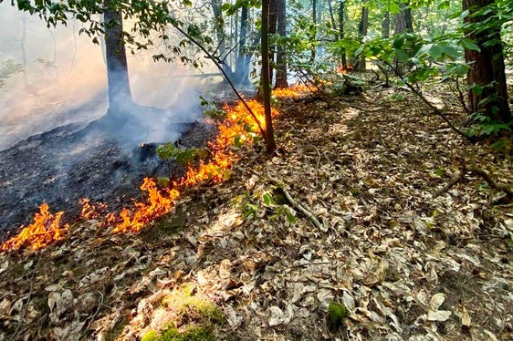 Monticolo, Comune di Appiano, 2022 (Foto: USP/Unione Provinciale dei Corpi dei Vigili del Fuoco Volontari)