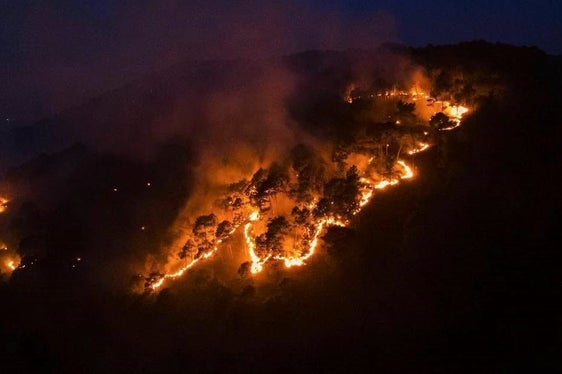 Sonnenberg, 2025 (Foto: LFV/Landesfeuerwehrverband)