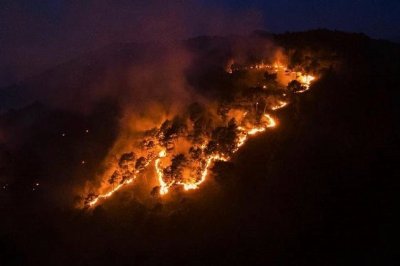 Monte Sole, Laces, 2025 (Foto: USP/Unione Provinciale dei Corpi dei Vigili del Fuoco Volontari)