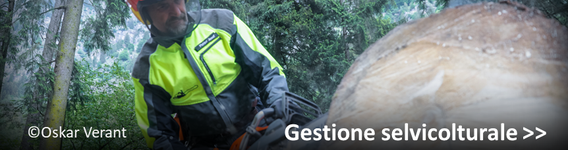 Attività di gestione selvicolturale