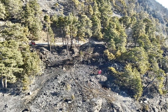 Sonnenberg, 2025 (Foto: LFV/Landesfeuerwehrverband)