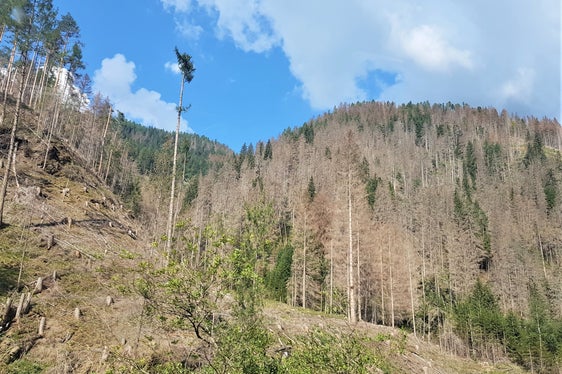 Gadertal, St. Martin, 2022