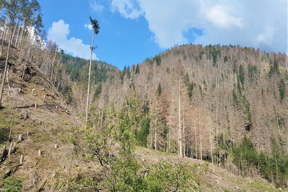 Gadertal, St. Martin, 2022