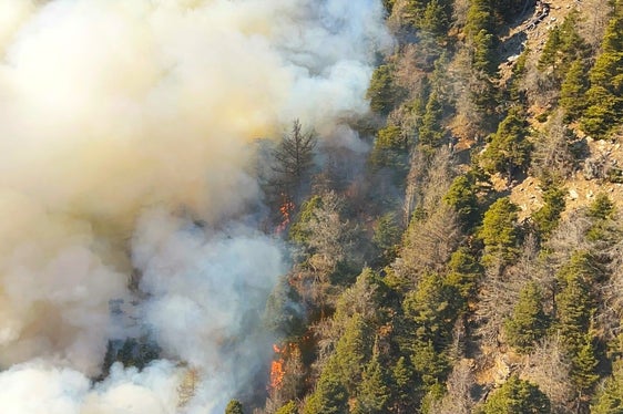 Sonnenberg, 2025 (Foto: LFV/Landesfeuerwehrverband)
