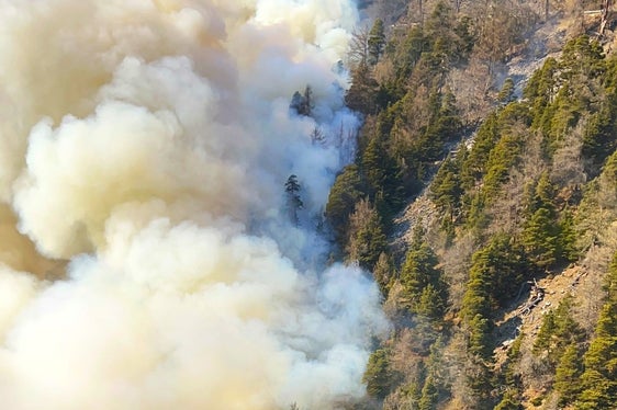 Monte Sole, Laces, 2025 (Foto: USP/Unione Provinciale dei Corpi dei Vigili del Fuoco Volontari)