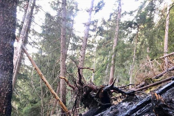 Eores, Bressanone, 2022 (Foto: USP/Unione Provinciale dei Corpi dei Vigili del Fuoco Volontari)