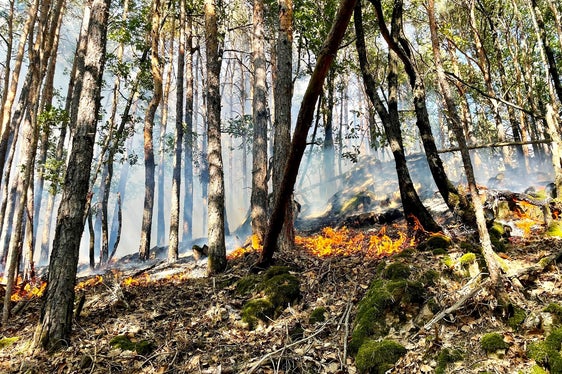 Montiggl, Gemeinde Eppan, 2022 (Foto: LFV/Landesfeuerwehrverband)