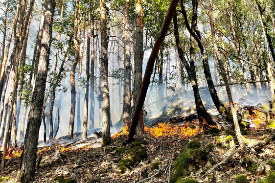 Monticolo, Comune di Appiano, 2022 (Foto: USP/Unione Provinciale dei Corpi dei Vigili del Fuoco Volontari)