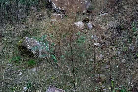Crollo in roccia a monte delle strada di accesso al cantiere della circonvallazione di Bronzolo, Comune di Bronzolo, 2025