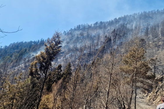 Prad am Stilfserjoch, 2025 (Foto: LFV/Landesfeuerwehrverband)