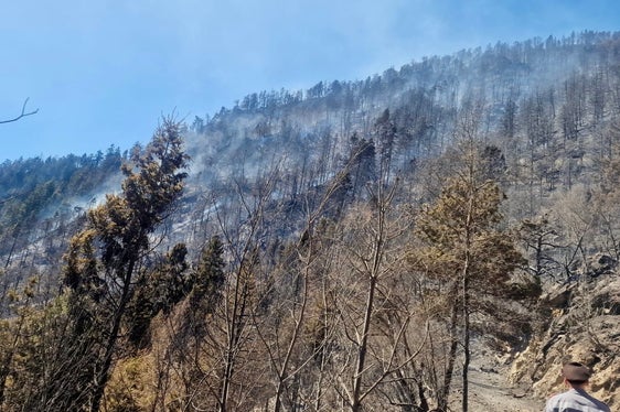 Prato allo Stelvio, 2025 (Foto: USP/Unione Provinciale dei Corpi dei Vigili del Fuoco Volontari)