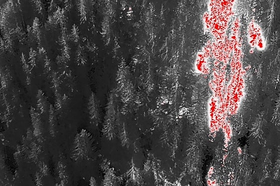 Eores, Brixen, 2022 (Foto: LFV/Landesfeuerwehrverband)