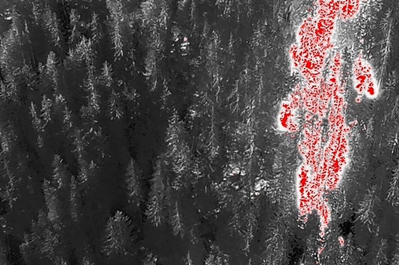 Eores, Bressanone, 2022 (Foto: USP/Unione Provinciale dei Corpi dei Vigili del Fuoco Volontari)