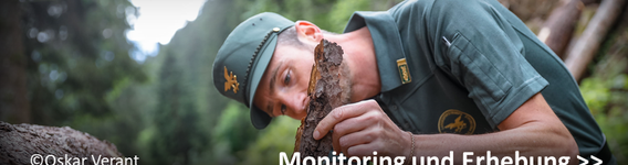 Monitoring und Erhebung
