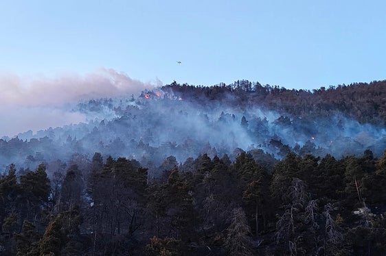 Sonnenberg, 2025 (Foto: LFV/Landesfeuerwehrverband)