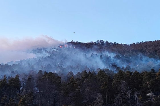 Monte Sole, Laces, 2025 (Foto: USP/Unione Provinciale dei Corpi dei Vigili del Fuoco Volontari)