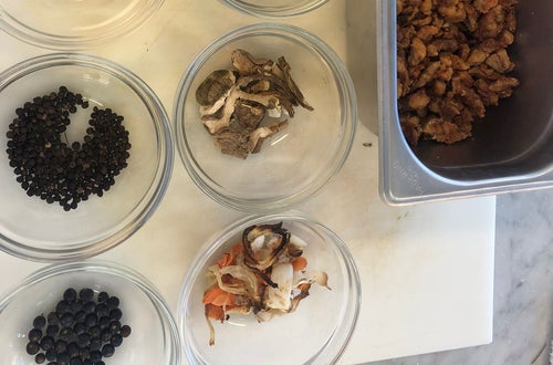 Projekt "Kraftquelle" Projekt "Kraftquelle"