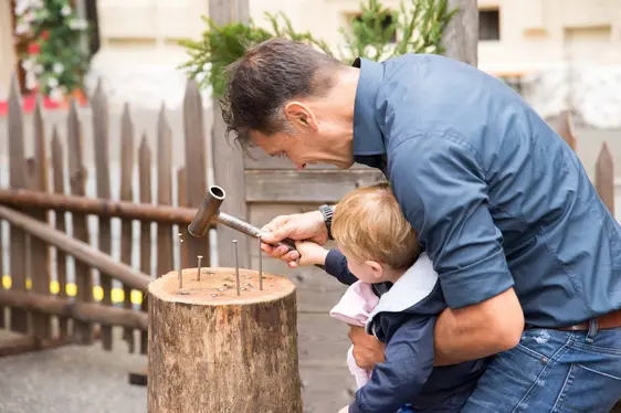 Tag der Autonomie - Giornata dell'Autonomia 2015