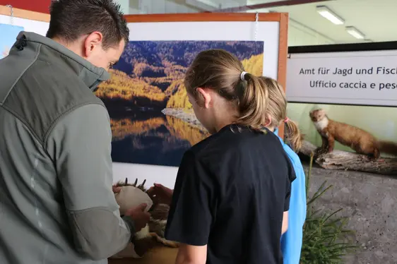 Tag der Autonomie - Giornata dell'Autonomia - Dé dl'Autonomia 2014