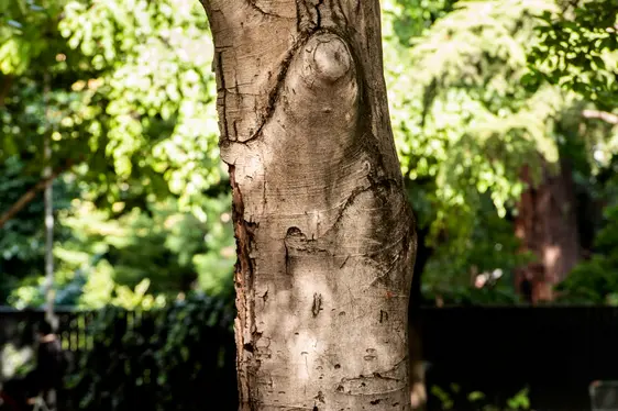 Mostra permanente Autonomia